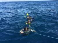 Great day of scuba diving in Key Largo with Rainbow Reef on spiegel grove tropical adventure 2015 01 01 r1106 1