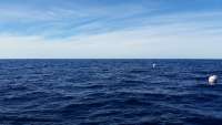 Great day of scuba diving in Key Largo with Rainbow Reef on spiegel grove tropical explorer 2015 01 25 r1159 1