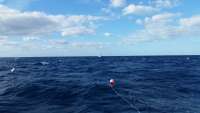 Great day of scuba diving in Key Largo with Rainbow Reef on spiegel grove tropical explorer 2015 01 29 r1169 1