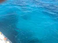 Great day of scuba diving in Key Largo with Rainbow Reef on spiegel grove tropical voyager 2015 01 11 r1118 1