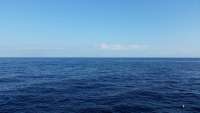 Great day of scuba diving in Key Largo with Rainbow Reef on uscgc bibb tropical voyager 2015 01 21 r1143 1