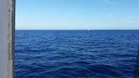 Great day of scuba diving in Key Largo with Rainbow Reef on uscgc duane tropical voyager 2015 01 07 r1113 1