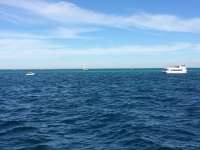 Great day of scuba diving in Key Largo with Rainbow Reef on uscgc duane tropical voyager 2015 01 19 r1137 1
