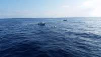 Great day of scuba diving in Key Largo with Rainbow Reef on uscgc duane tropical voyager 2015 01 21 r1145 1