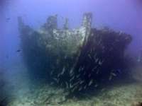 Great day of scuba diving in Key Largo with Rainbow Reef on benwood wreck tropical explorer 2015 07 18 r1775 1