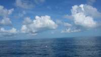 Great day of scuba diving in Key Largo with Rainbow Reef on benwood wreck tropical odyssey 2015 07 12 r1748 1