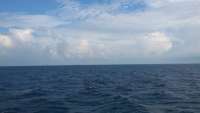 Great day of scuba diving in Key Largo with Rainbow Reef on benwood wreck tropical odyssey 2015 07 26 r1807 1