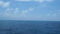 Great day of scuba diving in Key Largo with Rainbow Reef on christ statue tropical adventure 2015 07 27 r1815 1