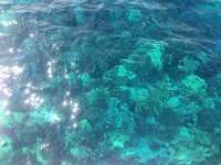 Great day of scuba diving in Key Largo with Rainbow Reef on drift molasses tropical adventure 2015 07 30 r1825 1