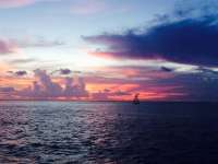 Great day of scuba diving in Key Largo with Rainbow Reef on eagle ray alley tropical odyssey 2015 07 23 r1799 1