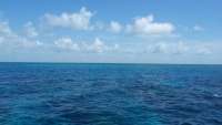 Great day of scuba diving in Key Largo with Rainbow Reef on fire coral cave tropical odyssey 2015 07 11 r1742 1