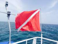 Great day of scuba diving in Key Largo with Rainbow Reef on french reef tropical adventure 2015 07 31 r1829 1