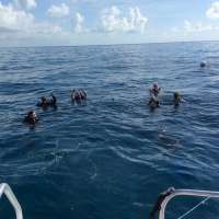 Great day of scuba diving in Key Largo with Rainbow Reef on french reef tropical voyager 2015 07 12 r1747 1