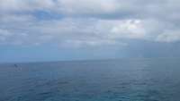 Great day of scuba diving in Key Largo with Rainbow Reef on french twist tropical odyssey 2015 07 23 r1797 1