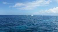 Great day of scuba diving in Key Largo with Rainbow Reef on molasses reef tropical explorer 2015 07 17 r1769 1