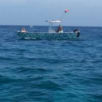 Great day of scuba diving in Key Largo with Rainbow Reef on molasses reef tropical explorer 2015 07 19 r1783 1