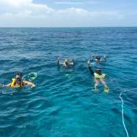 Great day of scuba diving in Key Largo with Rainbow Reef on molasses reef tropical explorer 2015 07 19 r1783 2