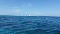 Great day of scuba diving in Key Largo with Rainbow Reef on molasses reef tropical explorer 2015 07 21 r1792 1