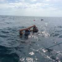 Great day of scuba diving in Key Largo with Rainbow Reef on molasses reef tropical explorer 2015 07 24 r1802 1