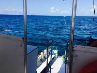 Great day of scuba diving in Key Largo with Rainbow Reef on molasses reef tropical voyager 2015 07 11 r1739 1