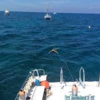 Great day of scuba diving in Key Largo with Rainbow Reef on molasses reef tropical voyager 2015 07 14 r1757 1