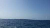 Great day of scuba diving in Key Largo with Rainbow Reef on sand island tropical adventure 2015 07 09 r1734 1
