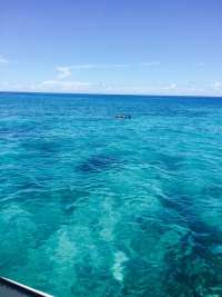 Great day of scuba diving in Key Largo with Rainbow Reef on sand island tropical voyager 2015 07 13 r1754 1