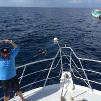 Great day of scuba diving in Key Largo with Rainbow Reef on spiegel grove tropical adventure 2015 07 21 r1790 1