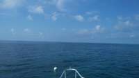 Great day of scuba diving in Key Largo with Rainbow Reef on spiegel grove tropical adventure 2015 07 28 r1818 1