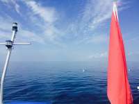 Great day of scuba diving in Key Largo with Rainbow Reef on uscgc bibb tropical adventure 2015 07 29 r1822 1