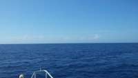 Great day of scuba diving in Key Largo with Rainbow Reef on uscgc duane tropical adventure 2015 07 17 r1768 1