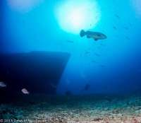 Great day of scuba diving in Key Largo with Rainbow Reef on uscgc duane tropical adventure 2015 07 27 r1814 1
