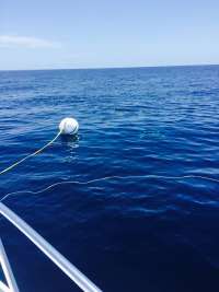 Great day of scuba diving in Key Largo with Rainbow Reef on uscgc duane tropical explorer 2015 07 28 r1819 1