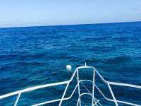 Great day of scuba diving in Key Largo with Rainbow Reef on benwood wreck tropical odyssey 2015 06 15 r1625 1