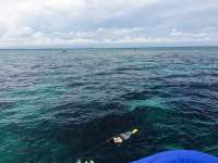 Great day of scuba diving in Key Largo with Rainbow Reef on christ statue tropical adventure 2015 06 01 r1573 1