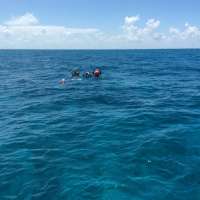 Great day of scuba diving in Key Largo with Rainbow Reef on city of washington tropical adventure 2015 06 16 r1629 1