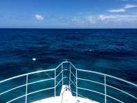 Great day of scuba diving in Key Largo with Rainbow Reef on city of washington tropical odyssey 2015 06 23 r1662 1
