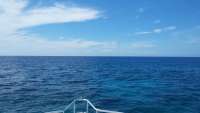 Great day of scuba diving in Key Largo with Rainbow Reef on conch pillars tropical odyssey 2015 06 20 r1647 1