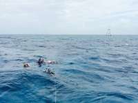 Great day of scuba diving in Key Largo with Rainbow Reef on eagle ray alley tropical adventure 2015 06 15 r1622 1