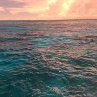 Great day of scuba diving in Key Largo with Rainbow Reef on french reef tropical voyager 2015 06 20 r1646 1
