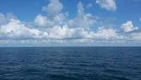 Great day of scuba diving in Key Largo with Rainbow Reef on french twist tropical odyssey 2015 06 07 r1593 1