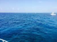 Great day of scuba diving in Key Largo with Rainbow Reef on hole in the wall tropical adventure 2015 06 27 r1676 1