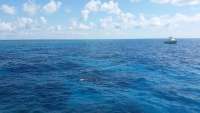 Great day of scuba diving in Key Largo with Rainbow Reef on molasses reef tropical adventure 2015 06 08 r1597 1