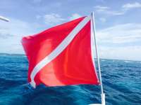 Great day of scuba diving in Key Largo with Rainbow Reef on molasses reef tropical adventure 2015 06 14 r1618 1