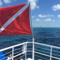Great day of scuba diving in Key Largo with Rainbow Reef on molasses reef tropical adventure 2015 06 18 r1635 1