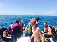 Great day of scuba diving in Key Largo with Rainbow Reef on molasses reef tropical voyager 2015 06 16 r1630 1