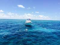 Great day of scuba diving in Key Largo with Rainbow Reef on molasses reef tropical voyager 2015 06 19 r1640 1