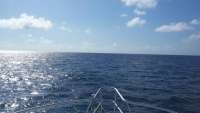 Great day of scuba diving in Key Largo with Rainbow Reef on north dry rocks tropical adventure 2015 06 17 r1633 1