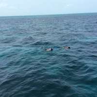 Great day of scuba diving in Key Largo with Rainbow Reef on north dry rocks tropical voyager 2015 06 30 r1699 1