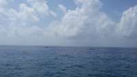 Great day of scuba diving in Key Largo with Rainbow Reef on north star tropical odyssey 2015 06 27 r1678 1